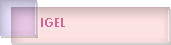 IGEL