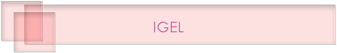 IGEL