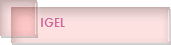 IGEL